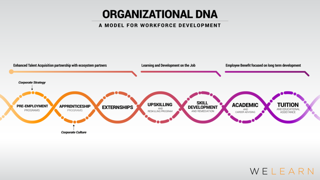 Organizational DNA
